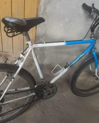 Bicicletta vintage
