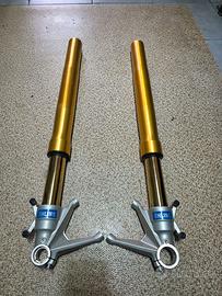 DUCATI 848 - 1098 -1198 OHLINS