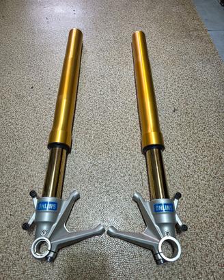 DUCATI 848 - 1098 -1198 OHLINS