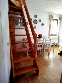 Bormio appartamento 7 posti letto