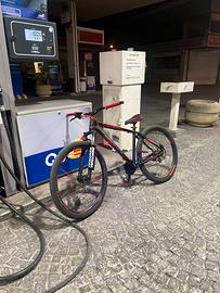 Whellie bike 29”