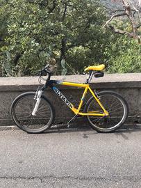 Bicicletta olympia e bianchi da donna