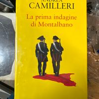 La prima indagine di montalbano di A. Camilleri