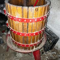 Torchio a leva per vinaccia da 40