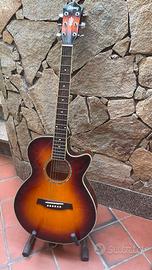 Ibanez AEG10EVS1202 con custodia