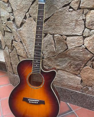 Ibanez AEG10EVS1202 con custodia