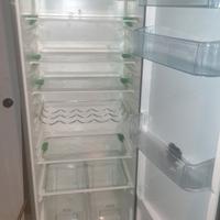 frigo 