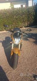 Honda Hornet 