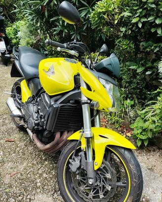 Honda CB 600 Hornet