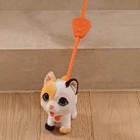 Gattino con guinzaglio