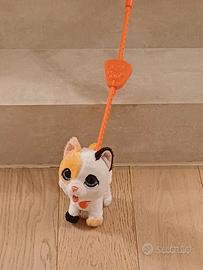 Gattino con guinzaglio