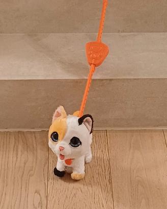 Gattino con guinzaglio