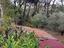 Immagine 6