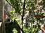 Immagine 22