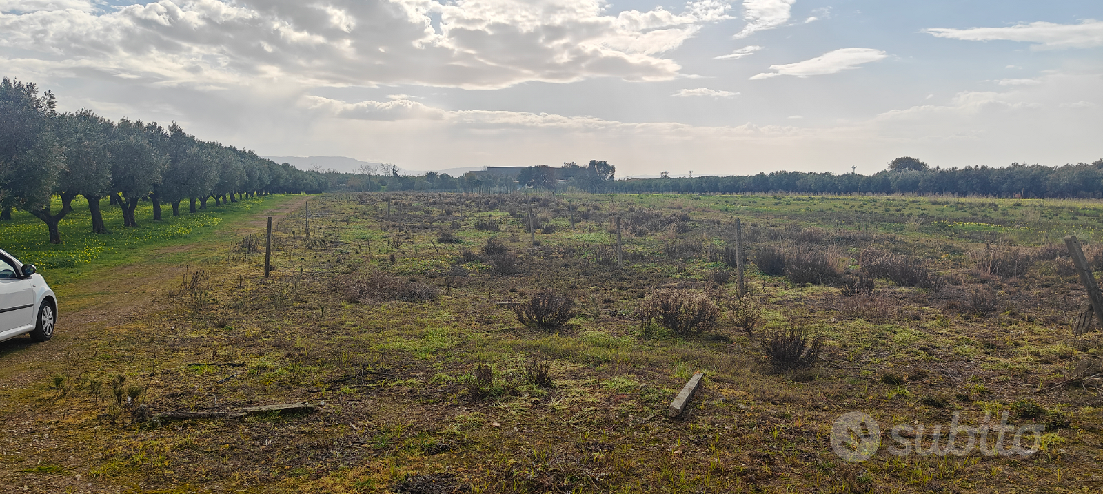 Terreno agricolo 8.760m² mt30x300 Lamezia zona A2 - Vista 6
