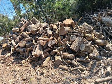 legna da ardere stagionata