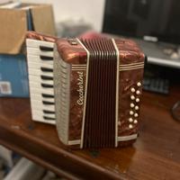 Fisarmonica vintage