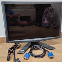 Monitor ACER X193W 19 Pollici 