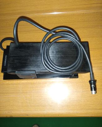 Pedali Volume Hammond Musicali Korg pedalini Boss