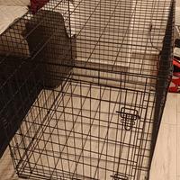 Kennel gabbietta