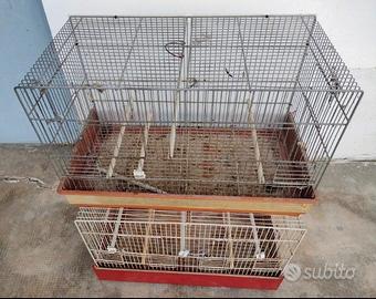 gabbie + accessori x volatili