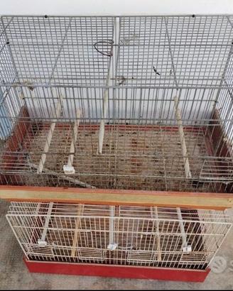 gabbie + accessori x volatili