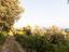 Immagine 13