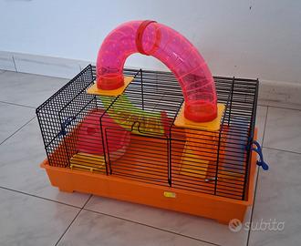 Gabbia per criceti con tunnel e accessori