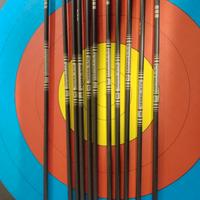 Frecce Easton ACE serie 570
