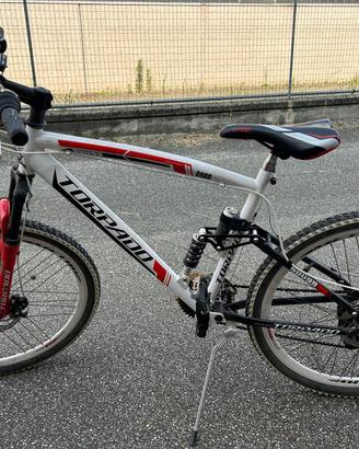 bici    mountain bike