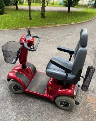 Disabili