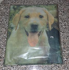 completo letto singolo Nuovo