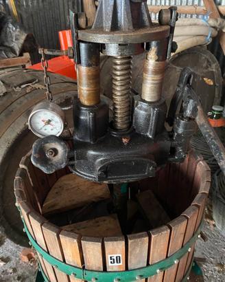 Torchio idraulico per uva