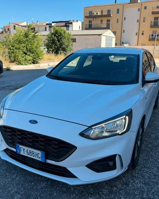 Ford Focus ST-Line 2.0 EcoBlue 150 CV AT8 2019