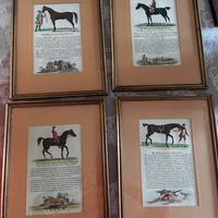 Stampe antiche cavalli
