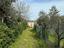 Immagine 11