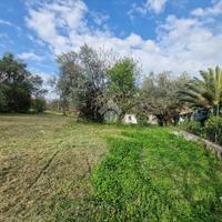 TER. RESIDENZIALE A NOTARESCO