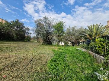 TER. RESIDENZIALE A NOTARESCO