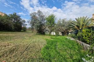 TER. RESIDENZIALE A NOTARESCO