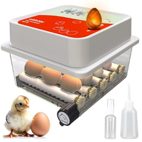 Incubatrice uova automatica
