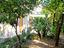 Immagine 29