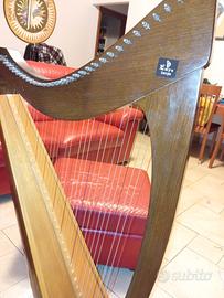 Arpa Morbidelli 34 corde