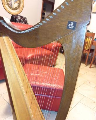 Arpa Morbidelli 34 corde