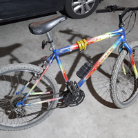 Mtb 26 pollici