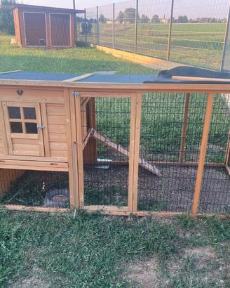 Pollaio per 4 galline