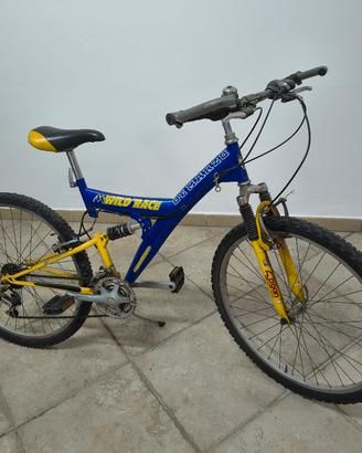 Bicicletta