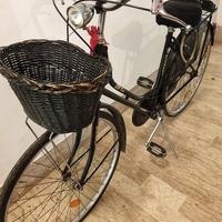 Bicicletta per amatori dello stile vintage