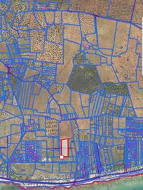 Terreno fronte mare Campomarino di Maruggio