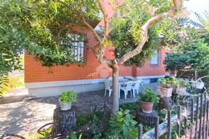 5 LOCALI A CIVITANOVA MARCHE