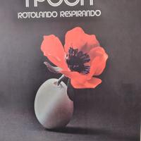 disco vinile pooh 